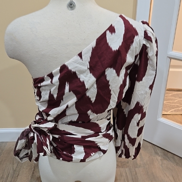 EXPRESS! One-Shoulder Burgundy and White Top - Picture 4 of 6